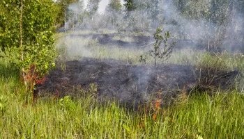 Служба спасения Пирканмаа предупреждает о повышенной пожароопасности